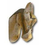 Kuester Handmade Animals Bust - Chic Decora