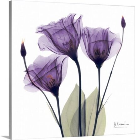 Manigault ‘Purple Flower Trio by Kiranjit Photographic Print - Chic Decora