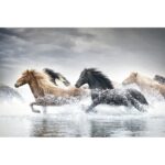 ” Horses On The Beach (detail) ” by Zero Creative Studio - Chic Decora