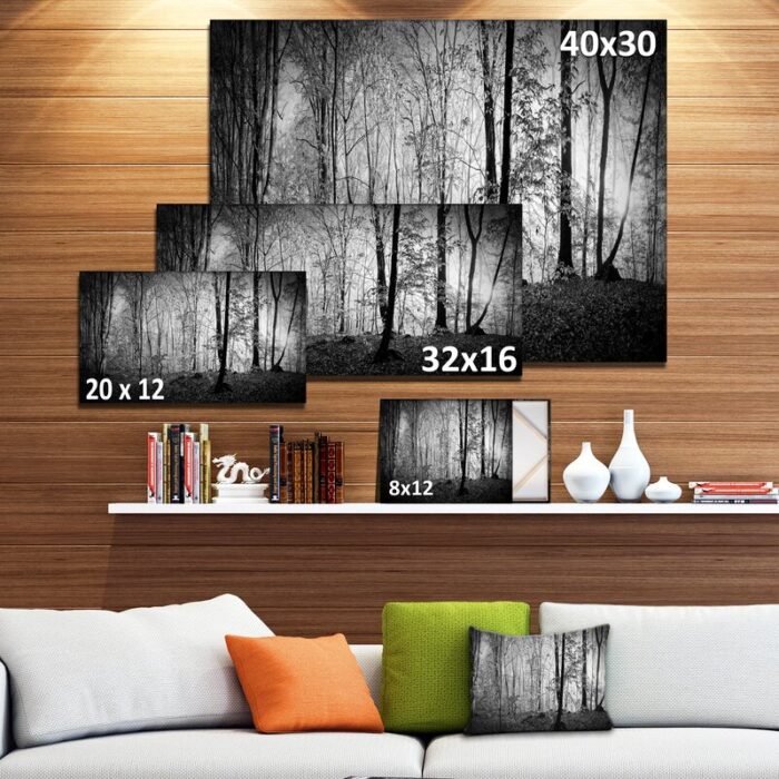 ” Beautiful Forest Morning Panorama “ - Chic Decora