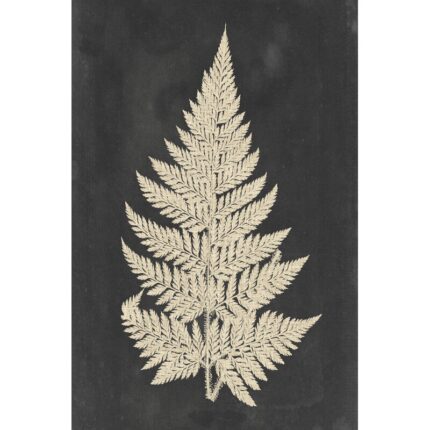 ” Linen Fern I ” by Vision Studio - Chic Decora