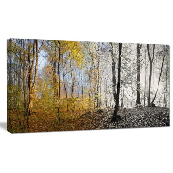 ” Yellow Morning In Forest Panorama “ - Chic Decora