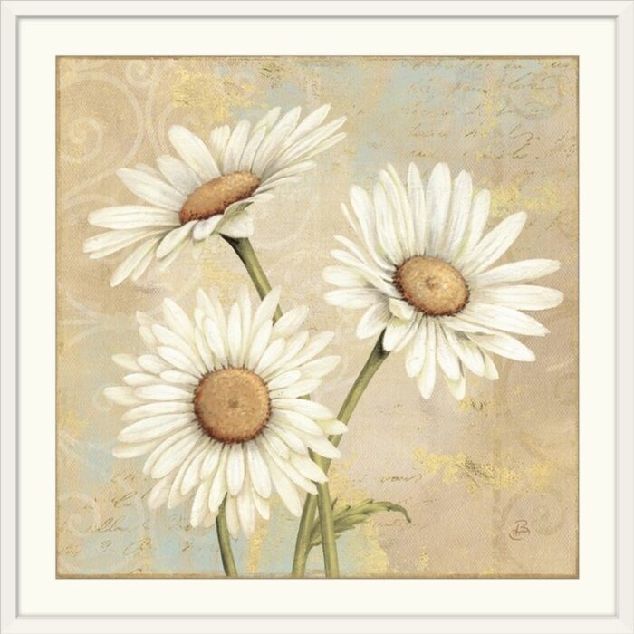 Beautiful Daisies ” Beautiful Daisies I ” by Daphne Brissonnet - Chic Decora