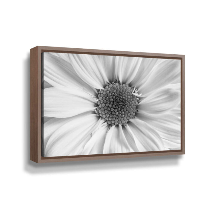 ” White Daisy ” by Tim Croce - Chic Decora