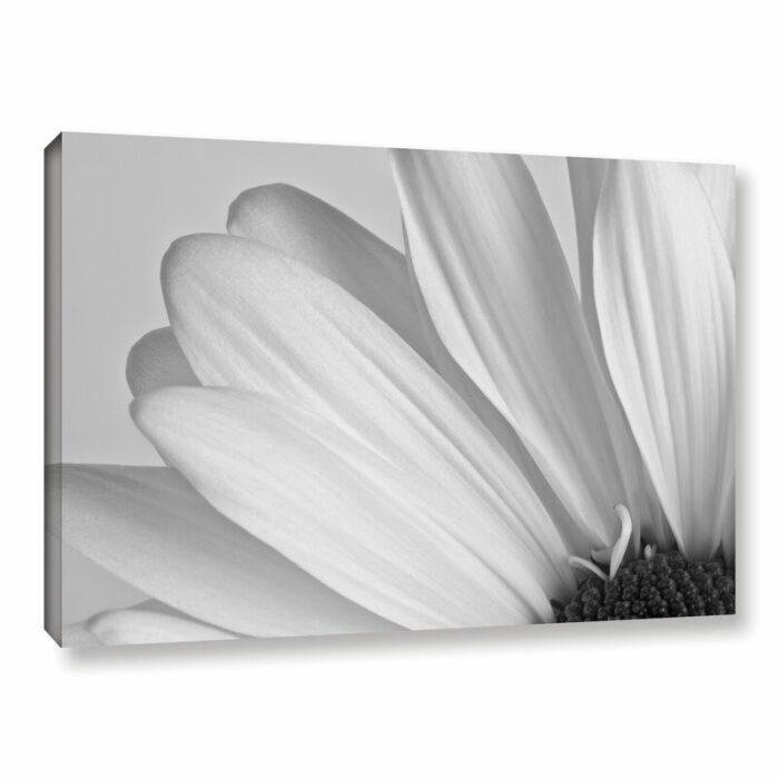 ” White Daisy ” by Tim Croce - Chic Decora