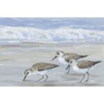 ” Sandpipers I ” by Timothy O’ Toole Painting Print - Chic Decora