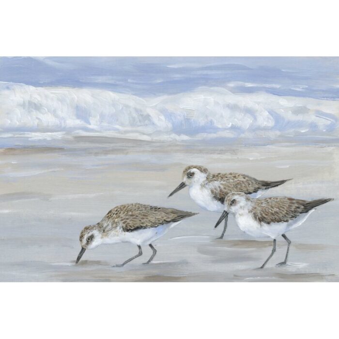 ” Sandpipers I ” by Timothy O’ Toole Painting Print - Chic Decora