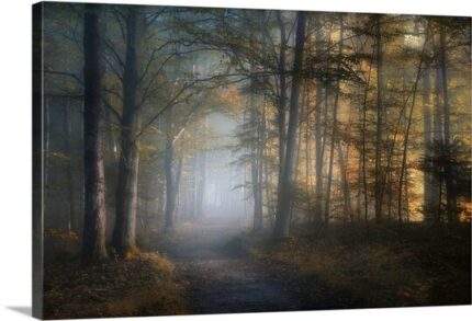 Straub Autumn Symphony by Norbert Maier – Photograph - Chic Decora