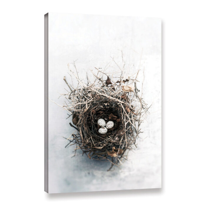 Bird Nest by Elena Ray Photograph on Canvas - Chic Decora