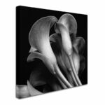 ” Lillies ” by Michael Harrison - Chic Decora