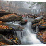 1x Modern & Contemporary