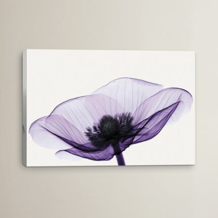” Anemone II ” by Robert Coop - Chic Decora