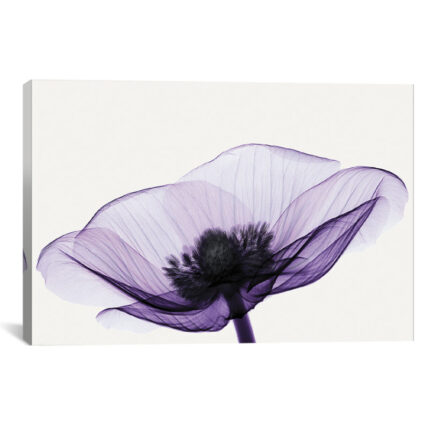 ” Anemone II ” by Robert Coop - Chic Decora