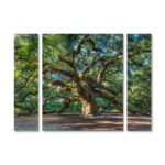 " Angel Oak Charleston " 3 - Pieces - Image 6