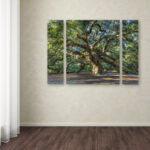 " Angel Oak Charleston " 3 - Pieces