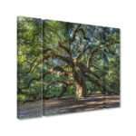 " Angel Oak Charleston " 3 - Pieces - Image 2