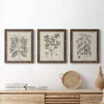 " Antique Black And White Botanical VII " 3 - Pieces - Image 8