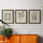 " Antique Black And White Botanical VII " 3 - Pieces