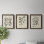 " Antique Black And White Botanical VII " 3 - Pieces - Image 2