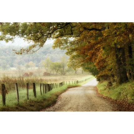 ” Autumn On A Country Road ” by Danny Head - Chic Decora