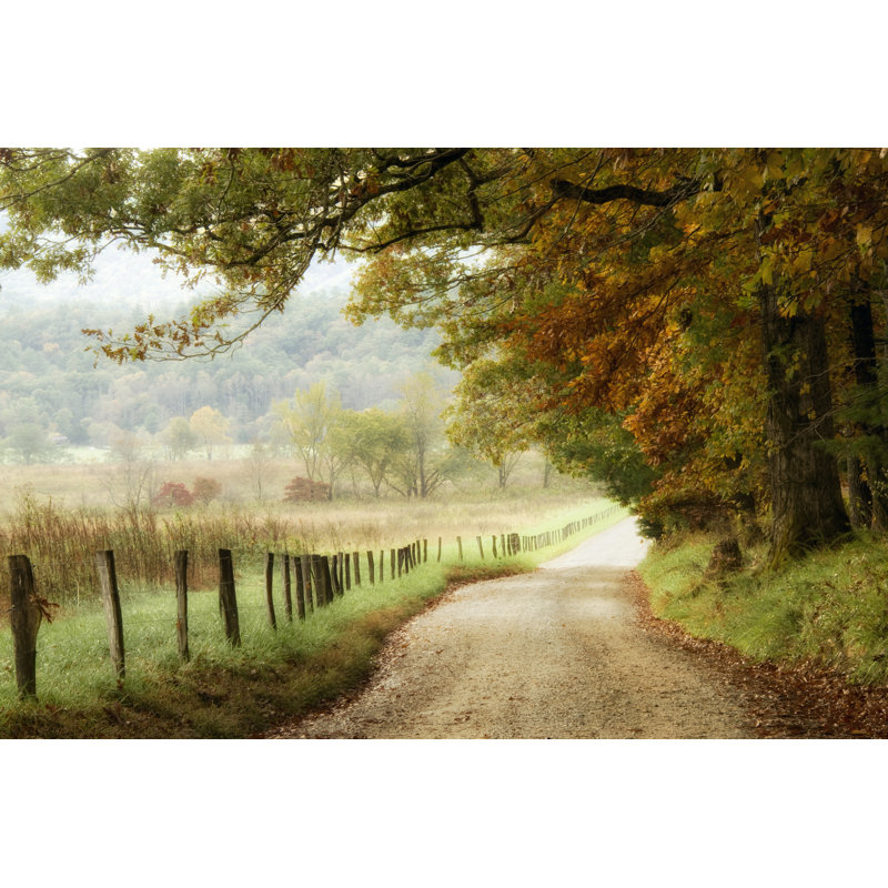 ” Autumn On A Country Road ” by Danny Head - Chic Decora