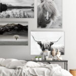 " Back County I " 4 - Pieces - Image 2