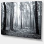 " Black And White Foggy Forest " - Image 6