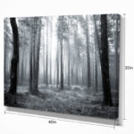" Black And White Foggy Forest " - Image 7