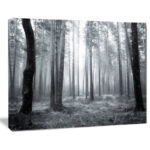 " Black And White Foggy Forest "