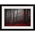 " Bloody River " - Image 2