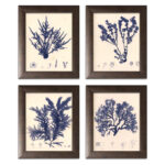 " Blue Botanical Study I Lovely Vintage Flowers " by Kimberly Poloson 4 - Pieces - Image 2