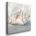 " Blue Shell Study II " - Image 8