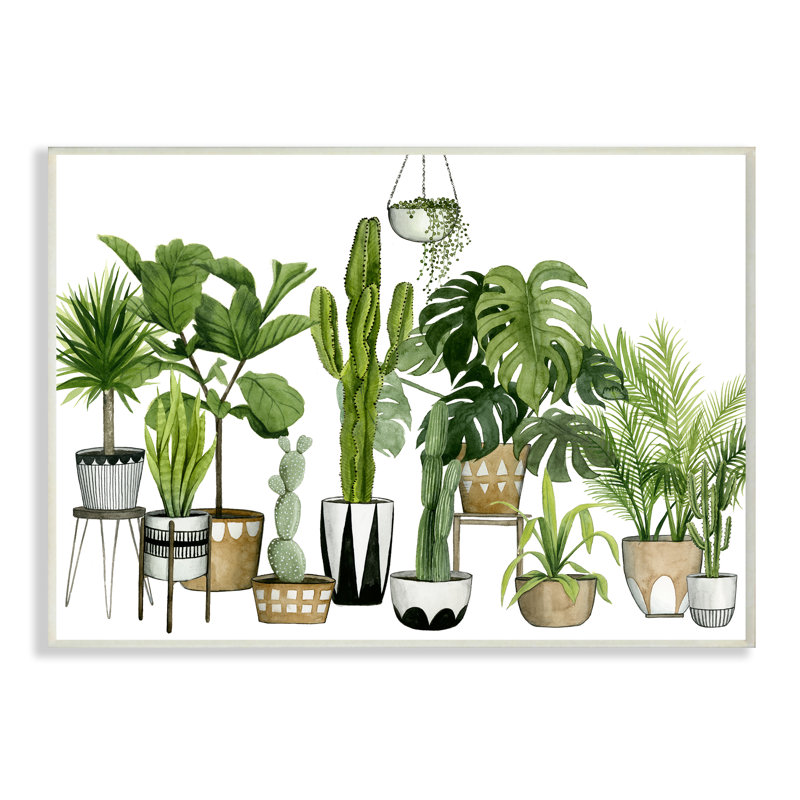 " Boho Plant Scene With Cacti And Succulents In Pots "