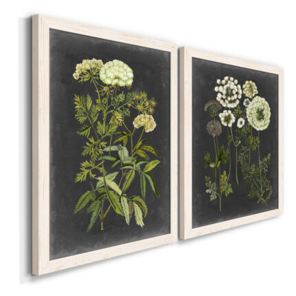 ” Bookplate Floral I ” 2 – Pieces - Chic Decora