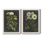 " Bookplate Floral I " 2 - Pieces - Image 3