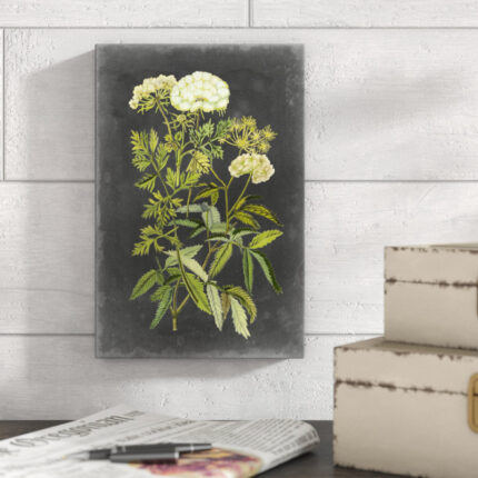 ” Bookplate Floral I ” by Naomi McCavitt Painting Print - Chic Decora