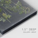 " Bookplate Floral II " Painting Print - Image 3