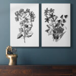 " Botanical Black And White " 2 - Pieces