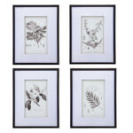 " Botanical Black And White " 4 - Pieces - Image 4
