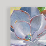 " Brilliant Succulents III/IV " by Norman Wyatt Jr. 2 - Pieces - Image 3