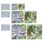 " Brilliant Succulents III/IV " by Norman Wyatt Jr. 2 - Pieces - Image 5