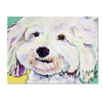 " Buttons " by Pat Saunders-White - Image 2