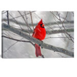 " Cardinal Bird " by Unknown Artist - Image 2