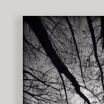 " Ceiling " - Image 3