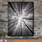 " Ceiling " - Image 8