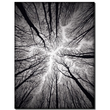 ” Ceiling “ - Chic Decora