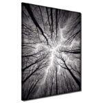 " Ceiling " - Image 2