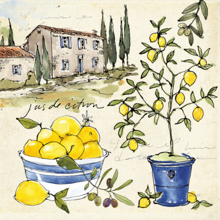 ” Citron III ” by Anne Tavoletti Painting Print - Chic Decora