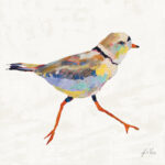 " Coastal Plover I Linen " by Jeanette Vertentes