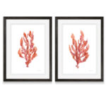 " Coral Kelp I " by Vincent Van Gogh 2 - Pieces - Image 5